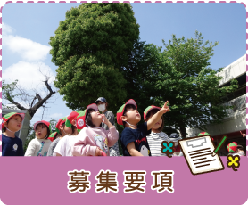 募集要項